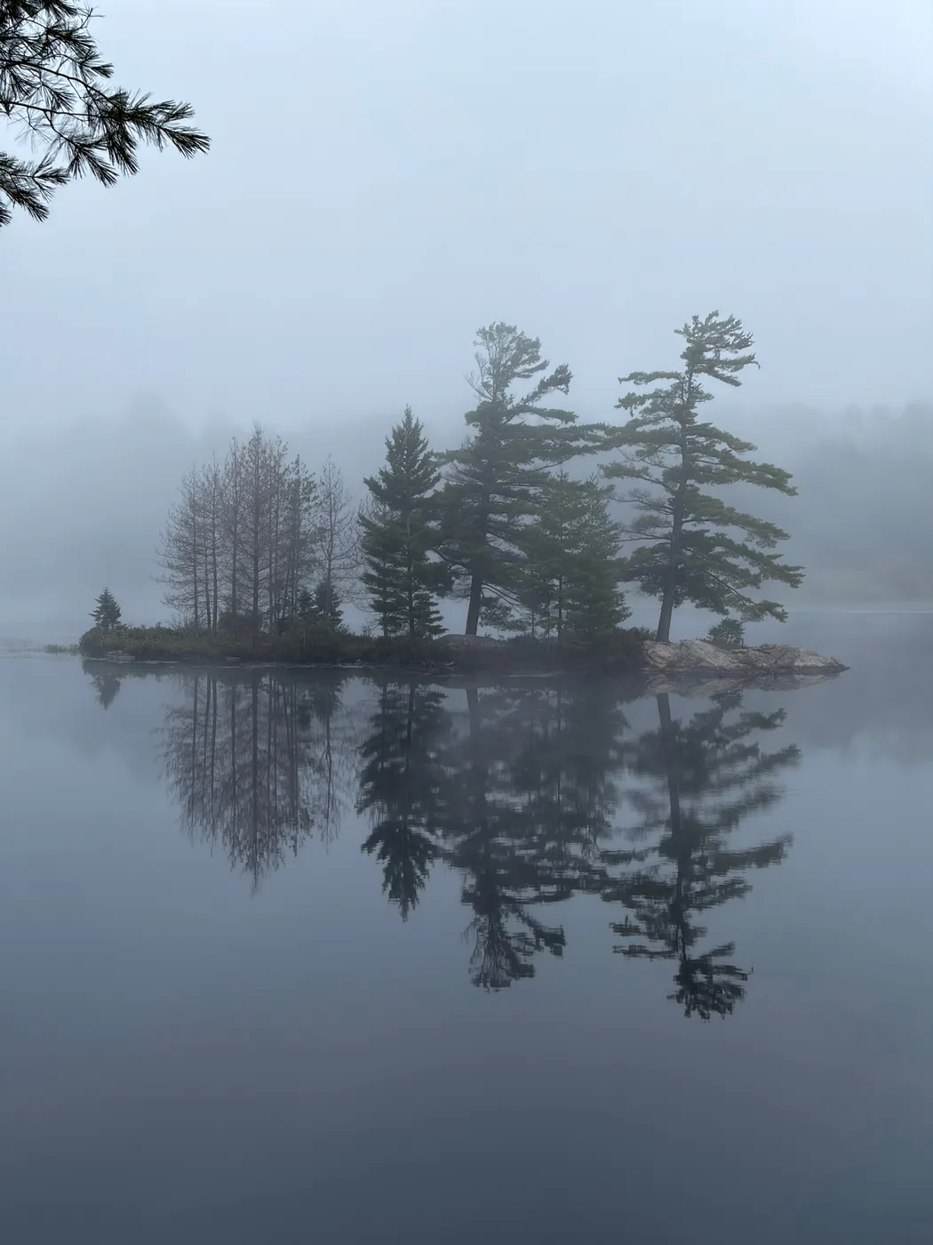 Algonquin canoe trip