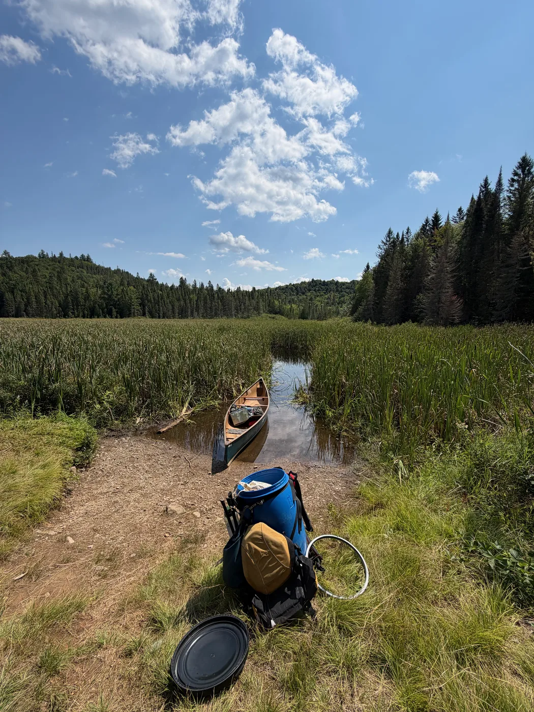 Algonquin canoe trip