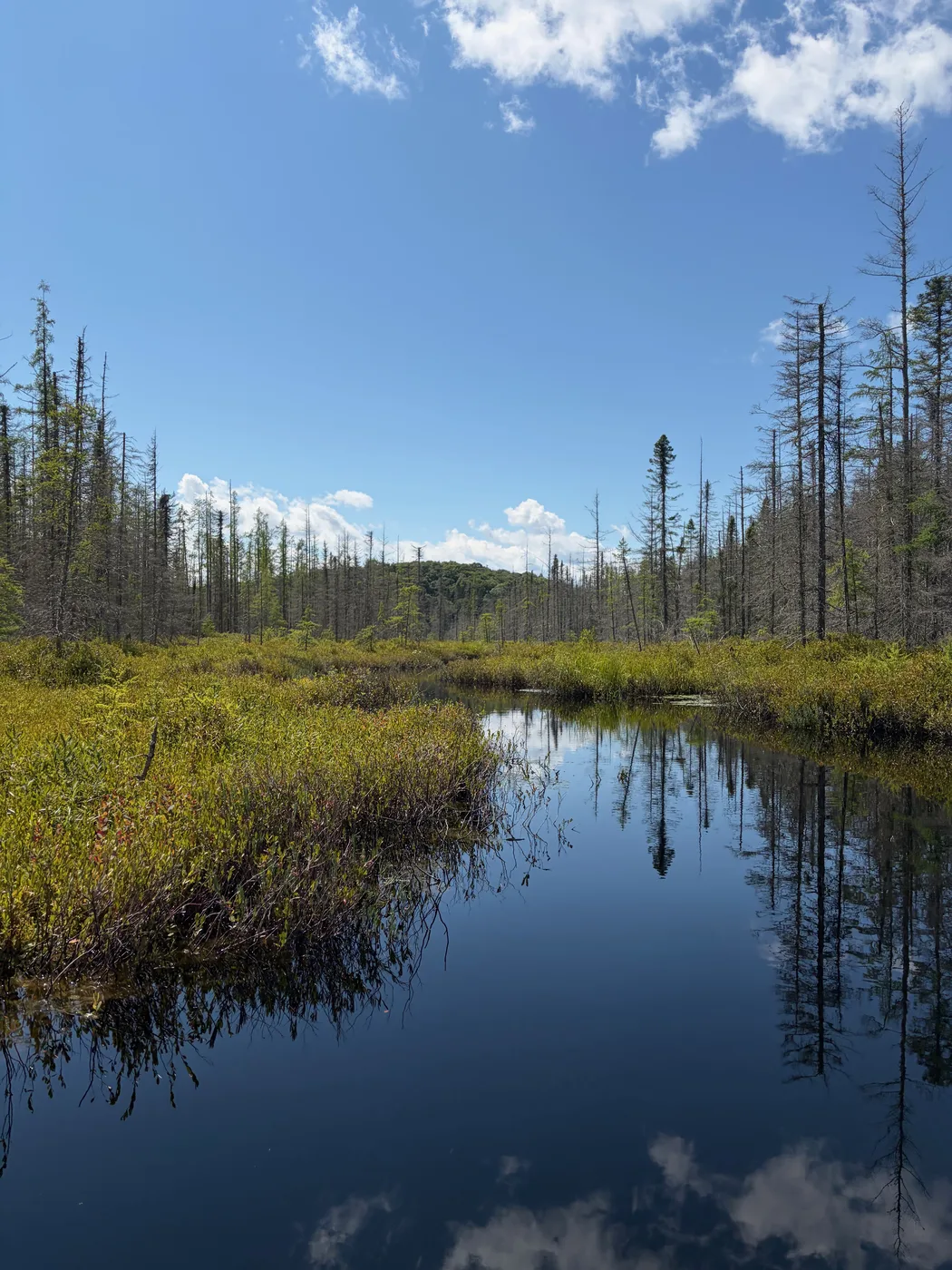 Algonquin canoe trip